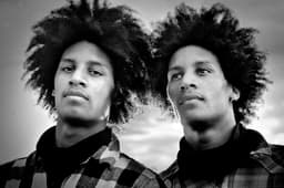 Les Twins